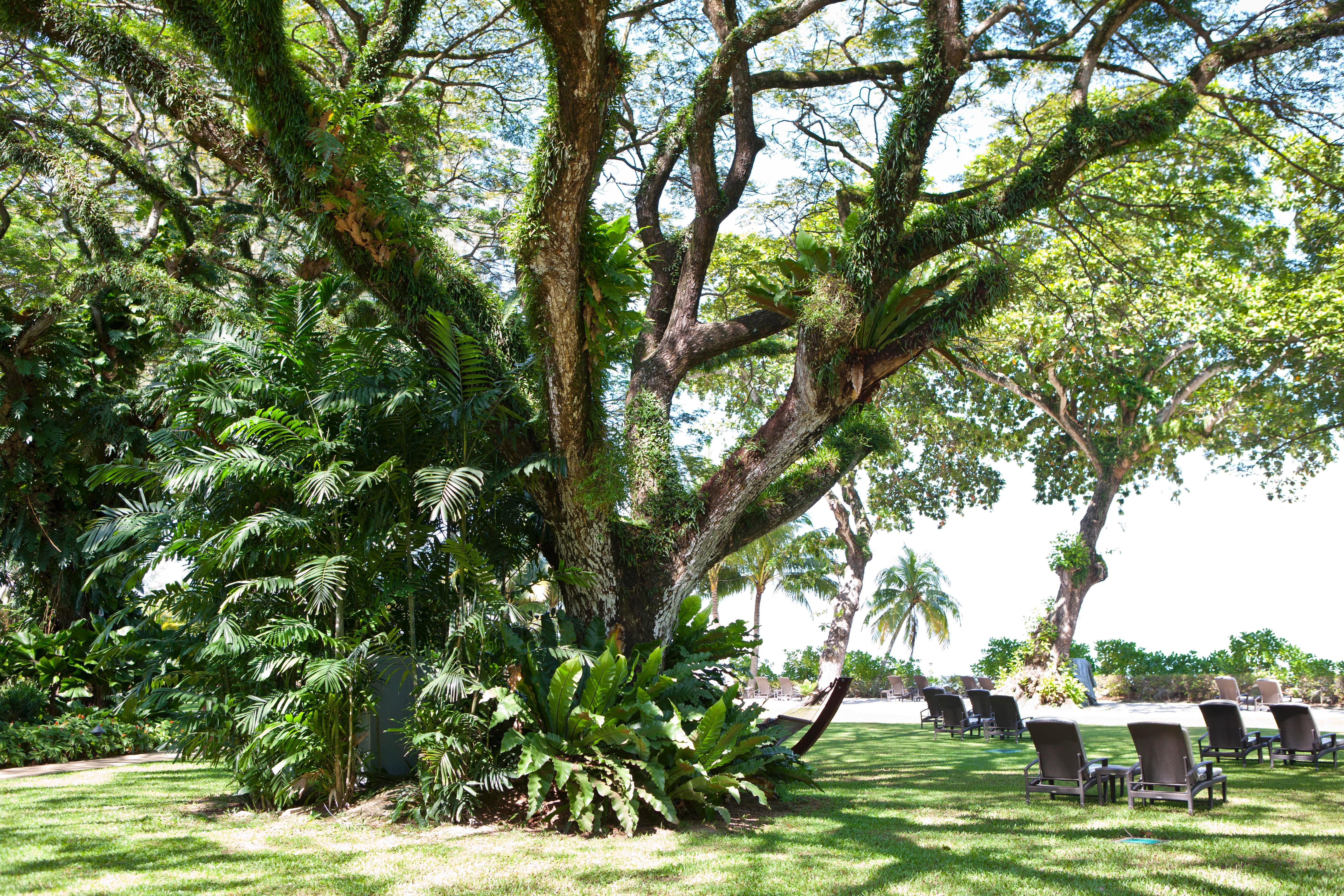 Shangri-La Rasa Sayang, Penang Batu Feringgi Εξωτερικό φωτογραφία The gardens of the hotel